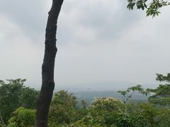 -火炉山森林公园
