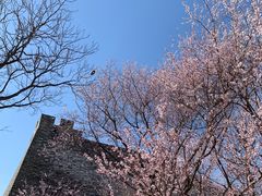 -北京明城墙遗址公园