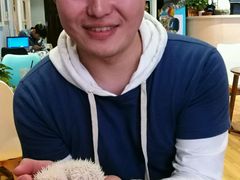 -藦茜花园宠物主题亲子互动体验馆(国顺东路店)