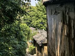 -杨家堂村
