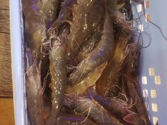-蒙肥羊·酸汤潮牛·鲜牛肉火锅烤肉自助(岗顶店)
