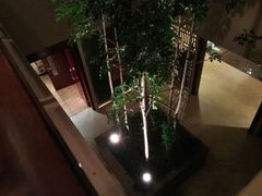 android_upload_pic-东莞松山湖凯悦酒店