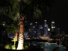 -新加坡文华东方酒店