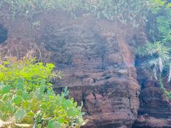 -涠洲岛火山国家地质公园