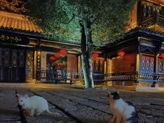 -朝花夕拾中餐厅(台儿庄古城复兴广场店)