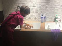 -MOLLY'S萌宠生活馆