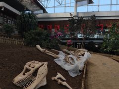 -沈阳植物园