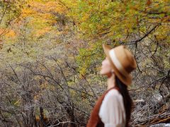 -叠溪松坪沟景区