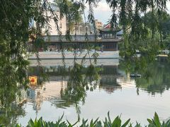 -荔湾湖公园