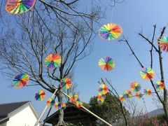 -呼吸森林·生态农庄农家乐私房菜