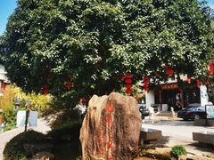 -兰溪地下长河