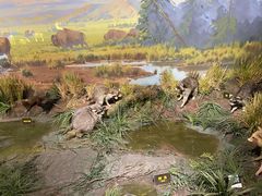 -陕西自然博物馆