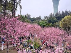 -狐尾山公园