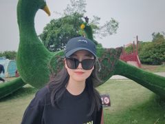 -武汉紫薇都市田园