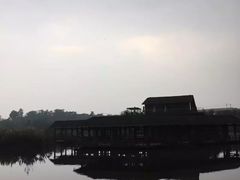 -白鹭湾湿地公园