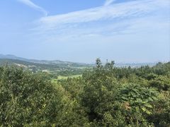 -涂山风景区