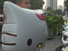 -东吴霸王兔(松青路店)