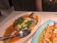 -陶陶居酒家(新天地店)