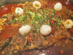 -鱼酷活鱼烤鱼(人信汇商场店)