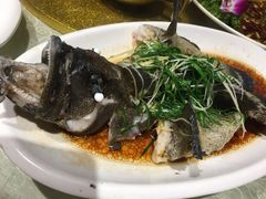 -强记海鲜·大排档(蛇口新街店)