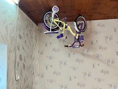 -金山农民画村-枫泾波兰倒置屋