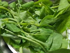 -祖传曾羊肉饭店