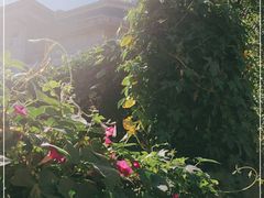 -长春市图书馆(同志街店)