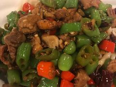 -文三里屯面馆(三里屯店)