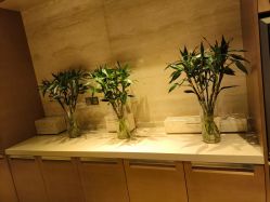 -上海金桥红枫万豪酒店·宴会厅