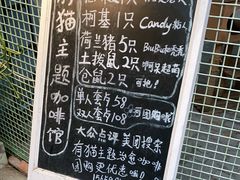 -有猫主题·治愈系猫咖(曾厝垵店)