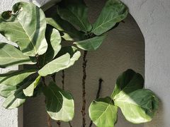 -赵小姐丨新中餐(曲江店)