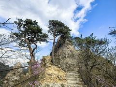 -大连天门山国家森林公园