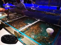 -餐海·海鲜自助餐厅(宝龙广场店)