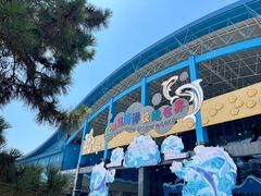 -泉城欧乐堡海洋极地世界