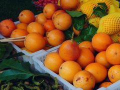 -南坛综合农贸市场