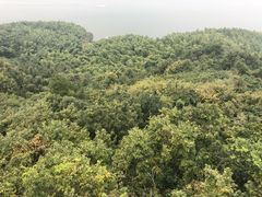 -天目湖山水园