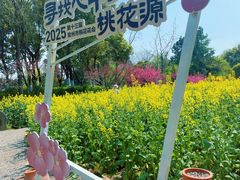 -圩墩遗址公园