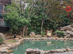 -树山生态村