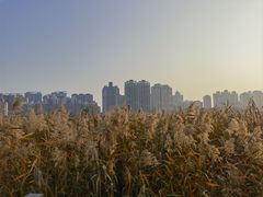 -江心屿景区
