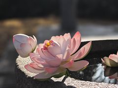 -南海神庙