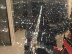-顶鲜101美食美景餐厅