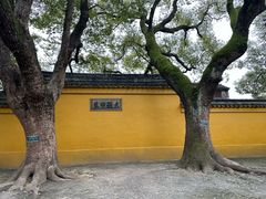 -西园戒幢律寺