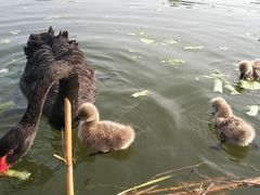 -南通濠河风景名胜区