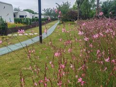 -梁鸿国家湿地公园