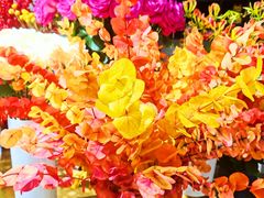-双季花艺园艺市场(浦东店)