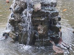 -北京市海淀外国语实验学校