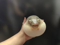 -永安鱼庄·镇江菜(东吴路店)