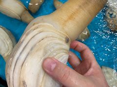 -舌尖上·霞浦滩涂海鲜(总店)
