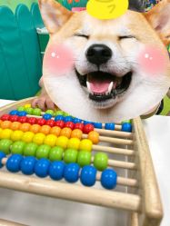 -莫莉幻想儿童乐园(武汉保利广场店)