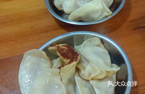 Pan-Fried Dumplings